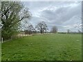 Field edge adjacent to the A528