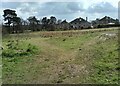 Grassland below the reservoir