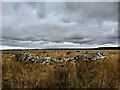 ND2954 : Sheepfold near Loch of Winless by David Bremner