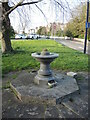 Granite drinking fountain on Pembroke Road