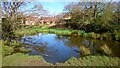 Darvells Pond, Chorleywood Common