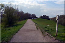 SE3318 : Path, Pugneys Country Park, Wakefield by habiloid
