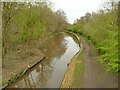 SJ6575 : Trent and Mersey Canal north of Northwich by Stephen Craven