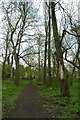 Path near Tang Hall Beck