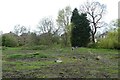 Two chairs on Heworth Holme