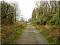 Track near Ardoch House