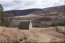 NO5390 : Forest of Birse Kirk by Mike Pennington