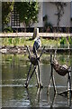 Heron, Harefield Pond