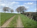 Tractor tracks along field edge