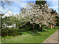 The London Loop along Priory Drive