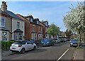 West Bridgford: spring blossom, Victoria Road