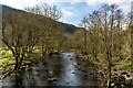 Afon Efyrnwy