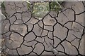 Cracked Mud on the Humber Shore at North Ferriby