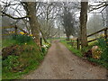 Lane to Hendre House, Pembrokeshire