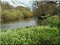 The River Kelvin