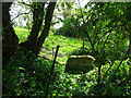 Stone Stile, Stinchcombe