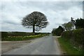 Road near Greystone Edge