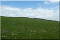 Fields below Greygarth Monument