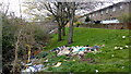 Fly-tipping, Northallerton Road, Bradford