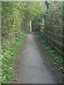 Wooded footpath on the west side of the South Cornelly bypass (3)