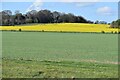 View across fields towards Chattis Hill