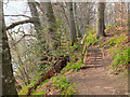 Steps on the riverside path near Abbotsford