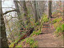 NT5034 : Steps on the riverside path near Abbotsford by Jim Barton