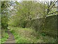 Green Lane footpath by a high wall