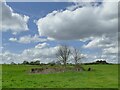 Ruined building near Farnley