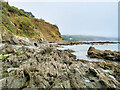 Rocky Shore at Looe