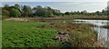 Pool at the entrance to Potteric Carr Nature Reserve