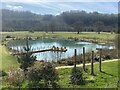 Newly-constructed pond