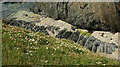 SX6642 : Rocks near Warren Point by Derek Harper