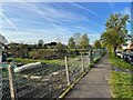 Cove Green allotments