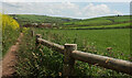 Coastal path to Thurlestone Sand