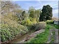 Path by Cove Brook