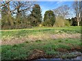 Path by Cove Brook