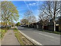 View along Mayfield Road