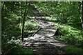 Footbridge in Little Birch Wood