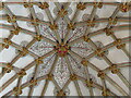 ST5545 : Wells Cathedral - Ceiling by Colin Smith