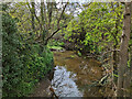 River Mole looking upstream