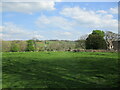 Grass field at Lower Swell