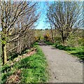 Path: John Muir Way