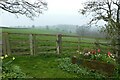 Stone trough planter near Raventofts Farm