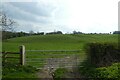 Field and bridleway near Dole Bank