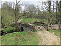 Llwybr Llwynywermwd / Llwynywermood path