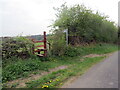 Llwybr Llwynywermwd / Llwynywermood path