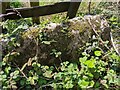 SO8602 : Stone Stile Quarhouse hidden, Brimscombe GS1455 by Gisela Blee