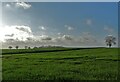 View to Hall Garth from Bracken Hill