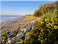 Foreshore near North Ferriby